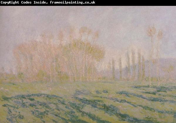Claude Monet Meadow with Poplars